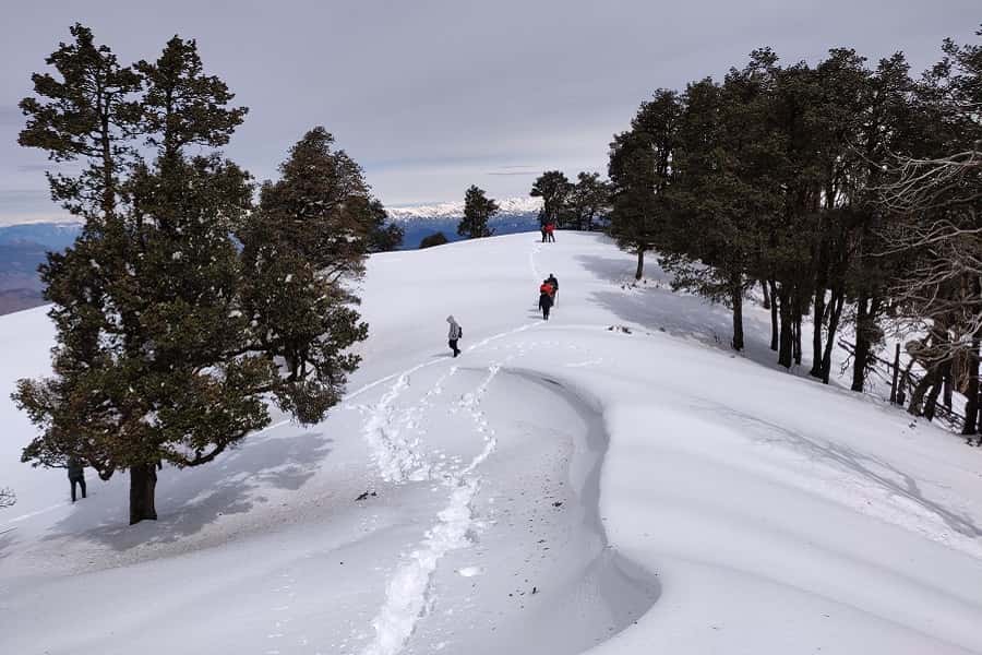 Nag Tibba Trek